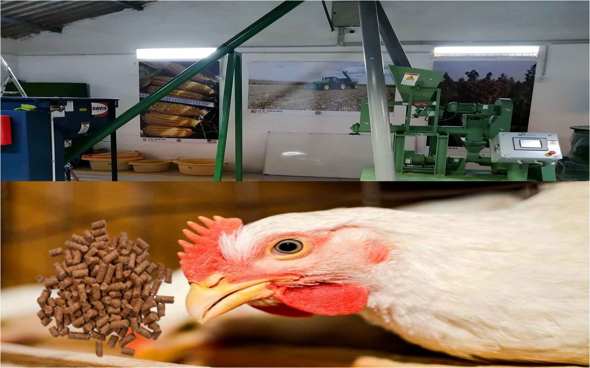 Regional Feed Training Center